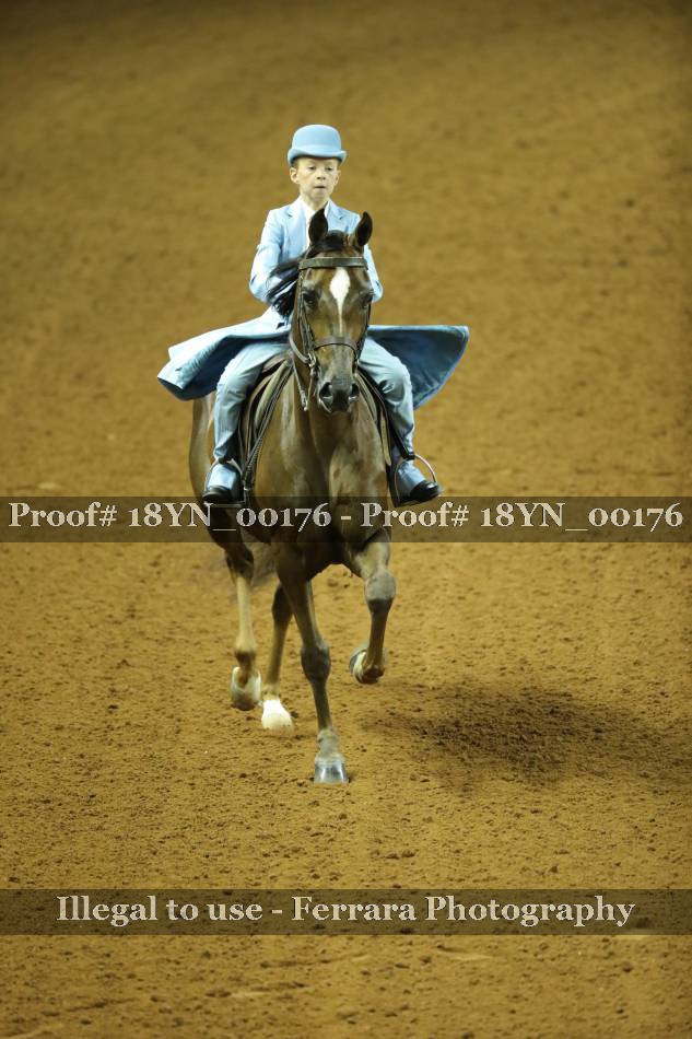 Proof 18YN_00176