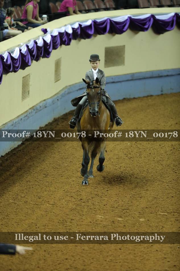 Proof 18YN_00178