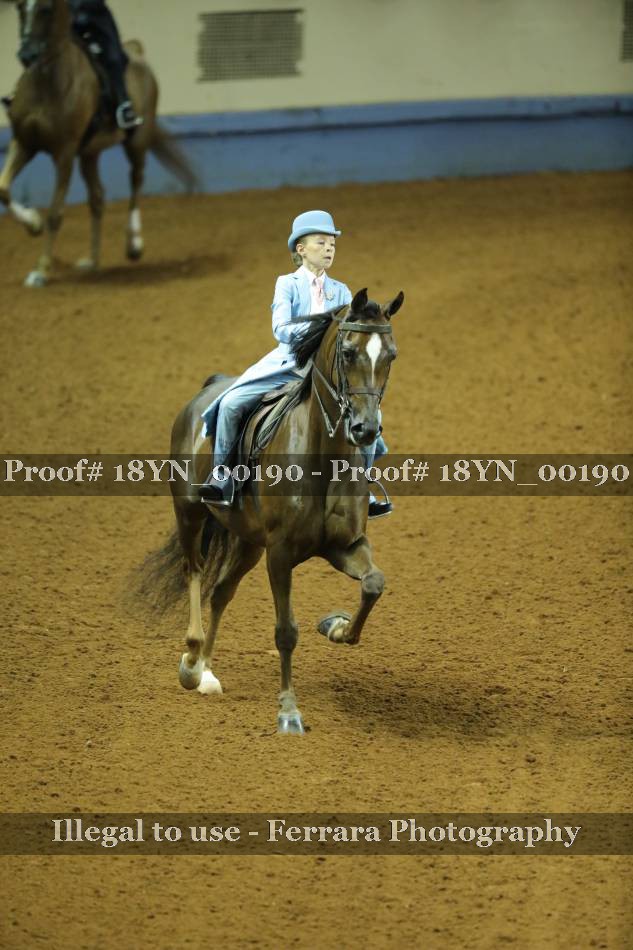 Proof 18YN_00190