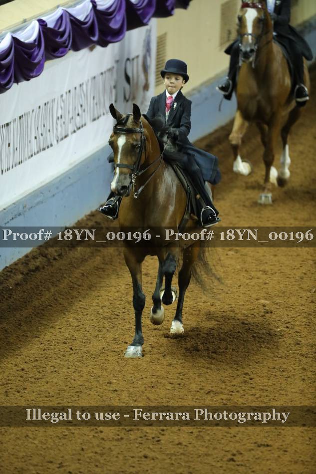 Proof 18YN_00196