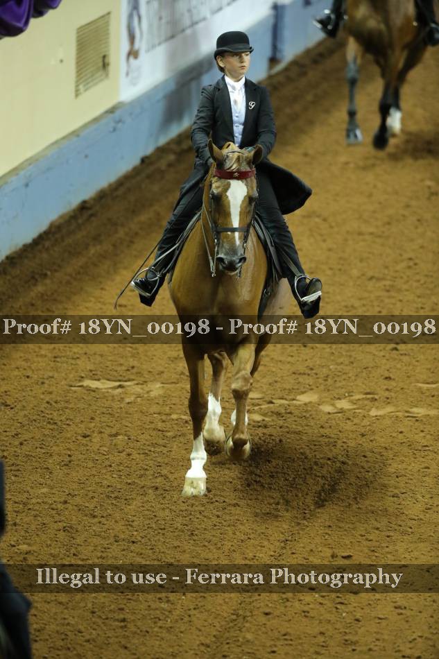 Proof 18YN_00198