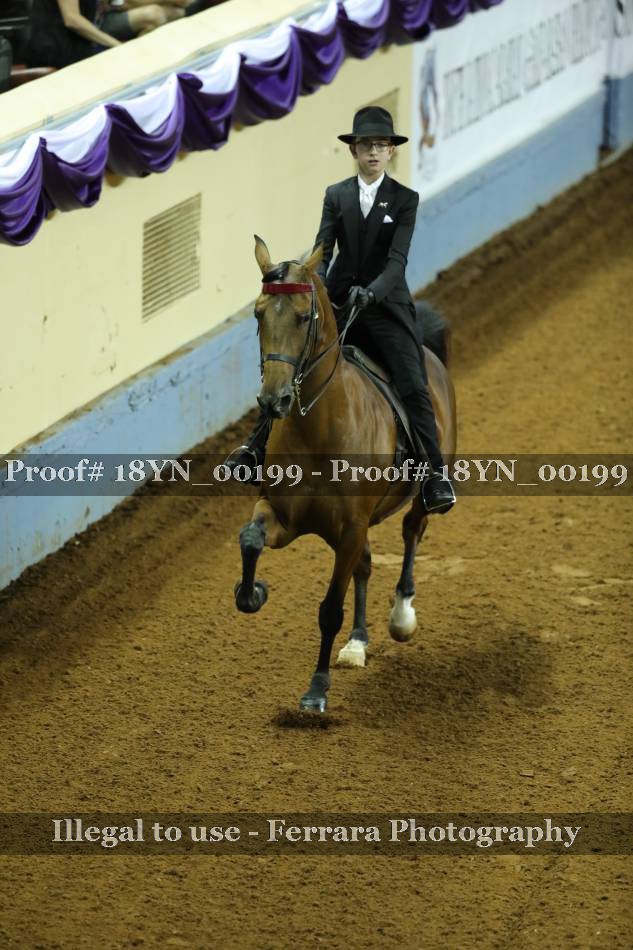 Proof 18YN_00199