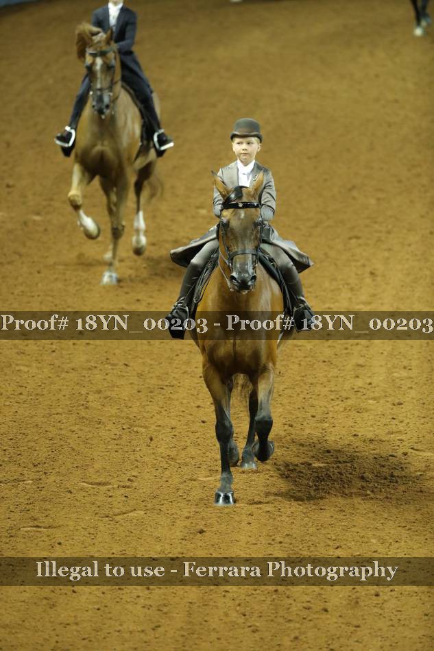 Proof 18YN_00203