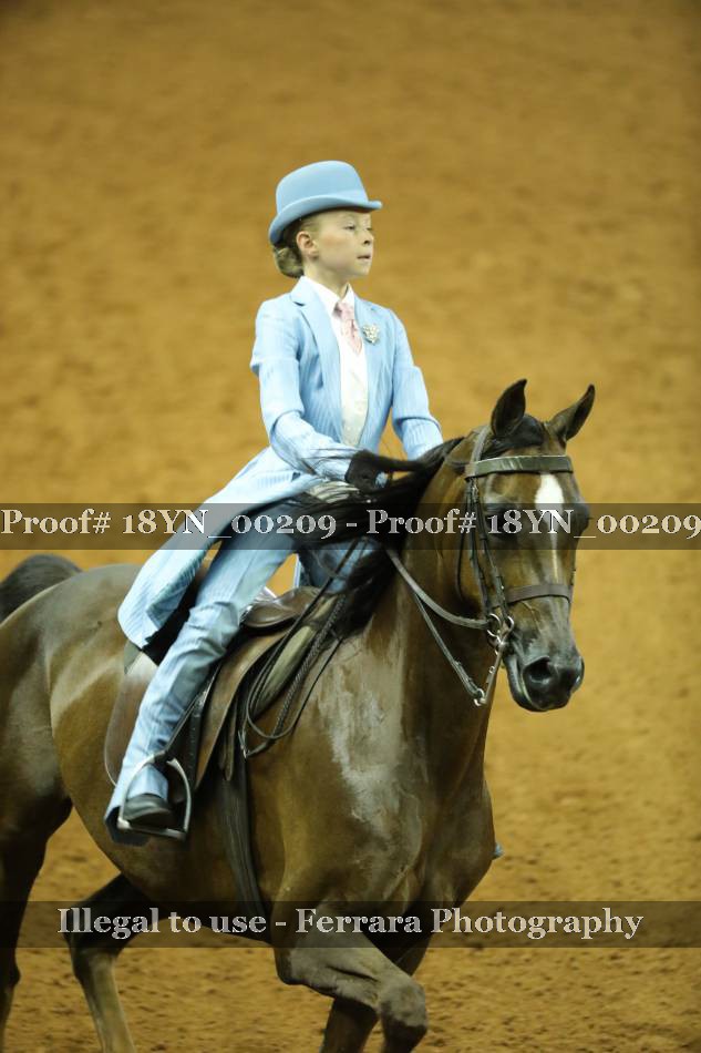 Proof 18YN_00209
