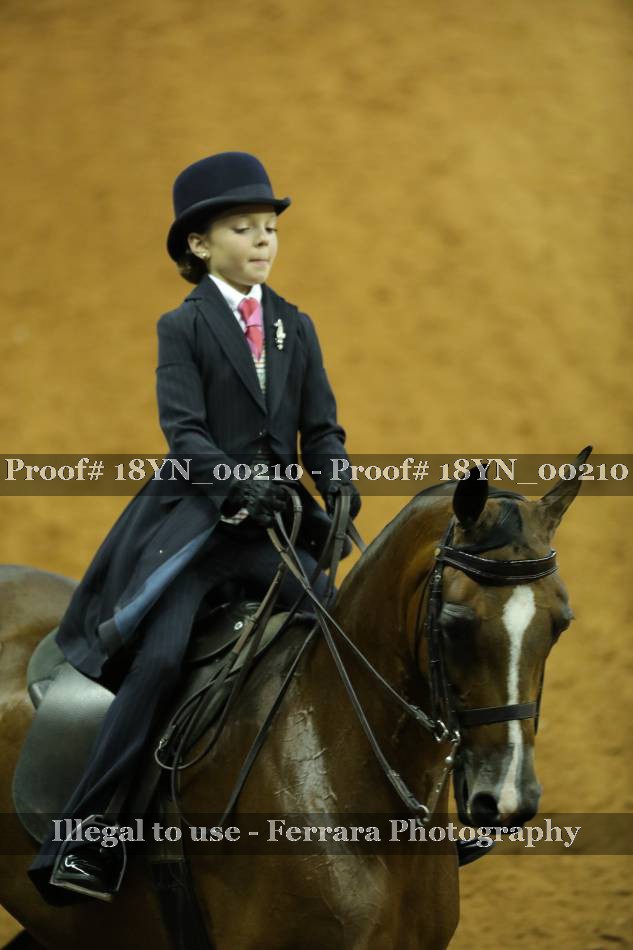 Proof 18YN_00210