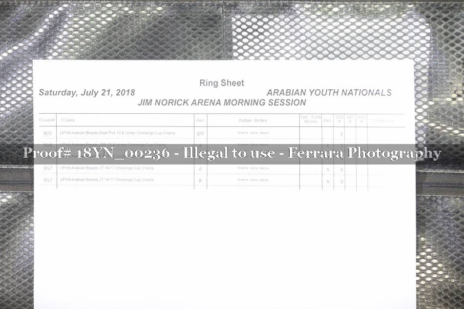 Proof 18YN_00236
