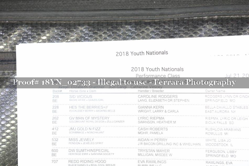 Proof 18YN_02733