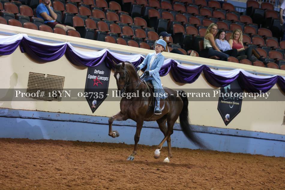 Proof 18YN_02735