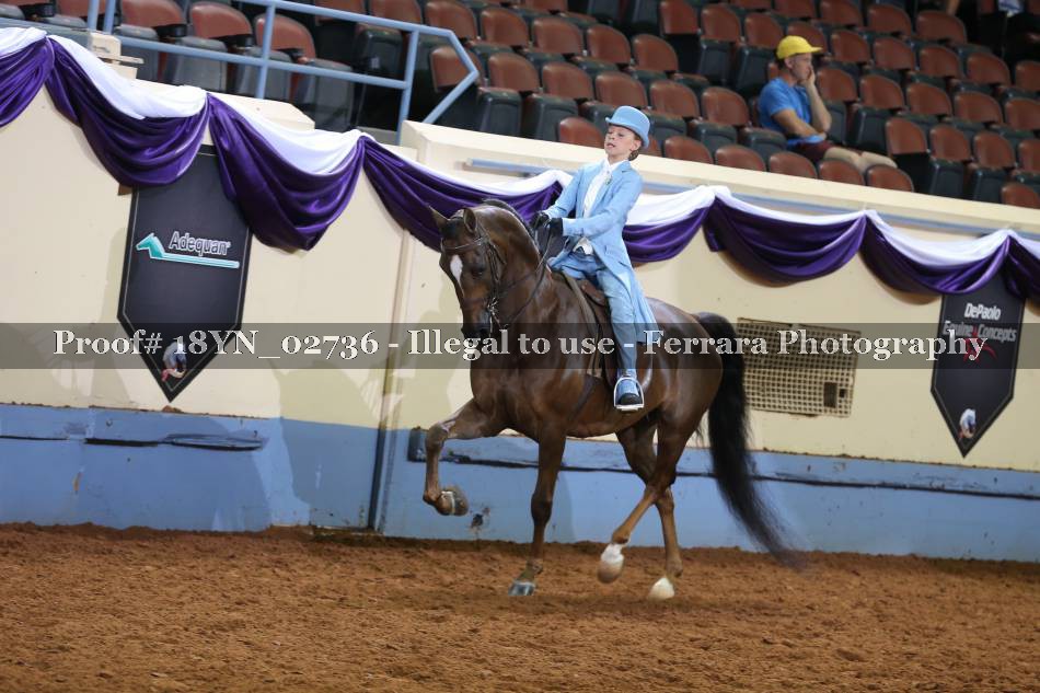 Proof 18YN_02736