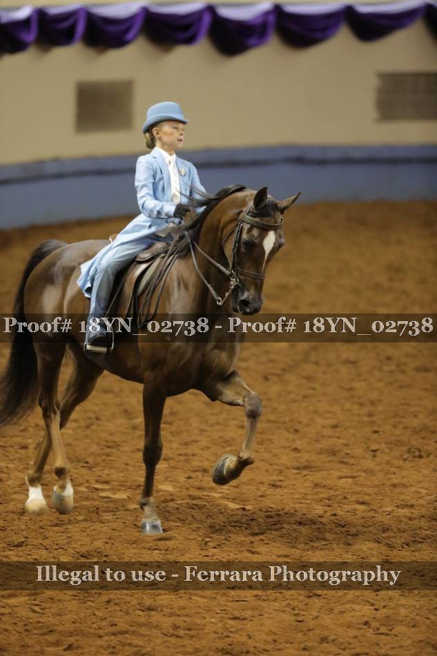 Proof 18YN_02738