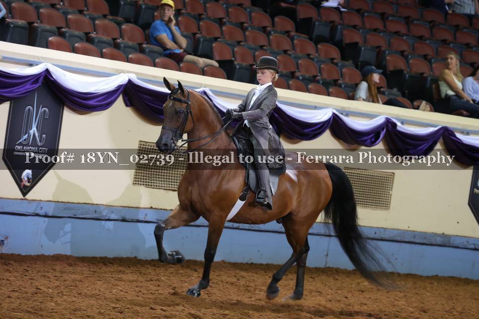 Proof 18YN_02739
