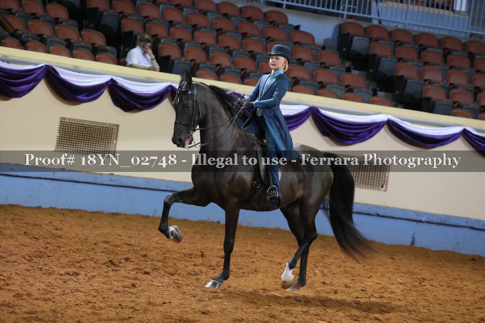 Proof 18YN_02748