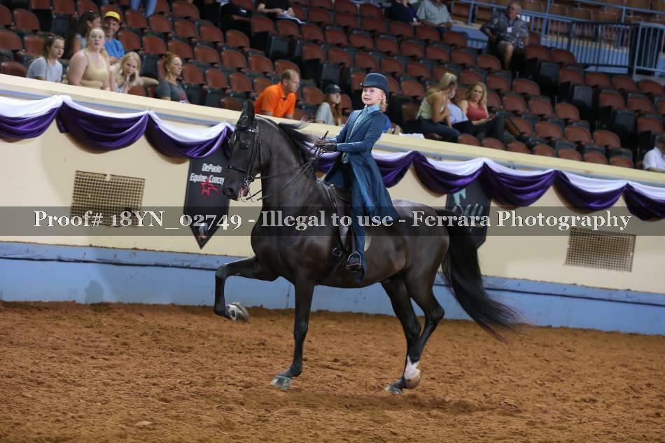 Proof 18YN_02749