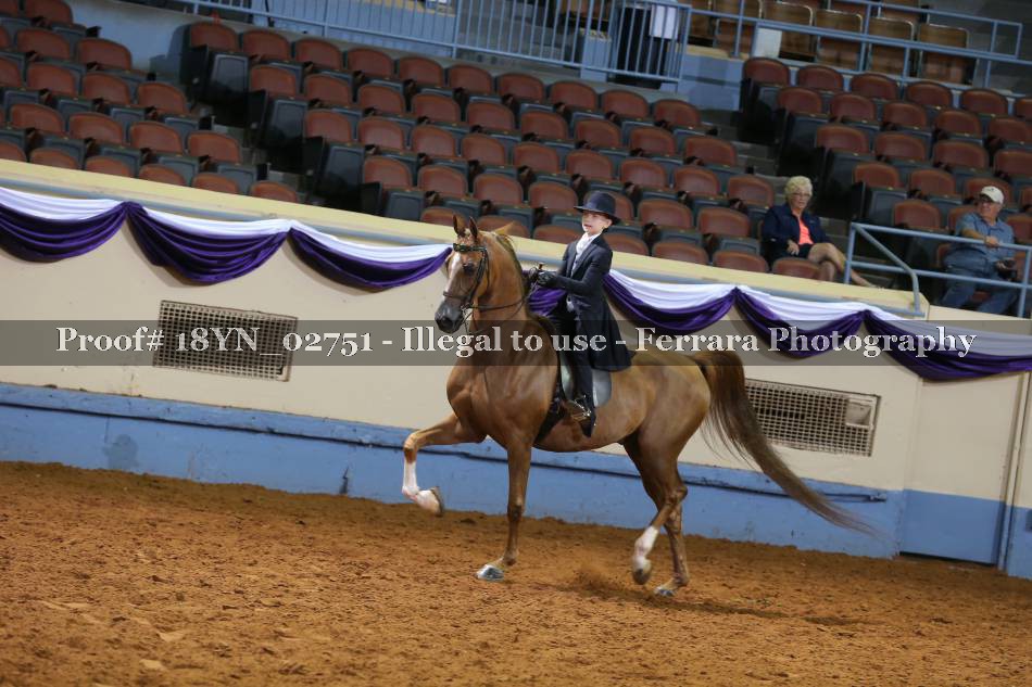 Proof 18YN_02751