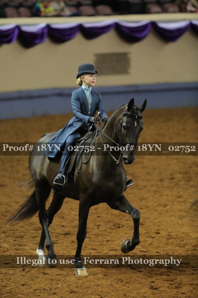 Proof 18YN_02752