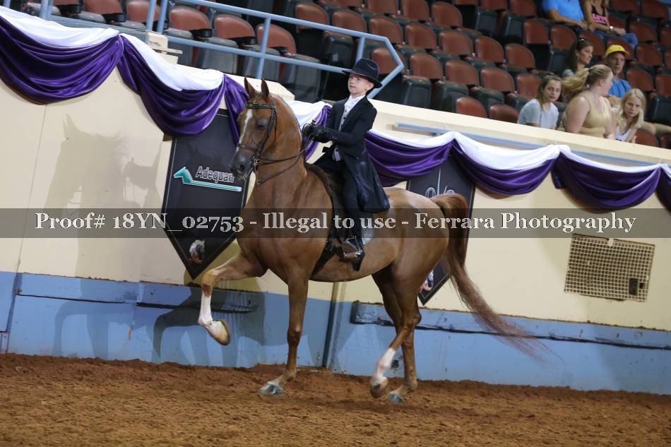 Proof 18YN_02753