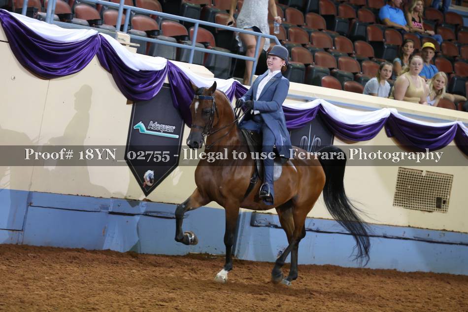 Proof 18YN_02755