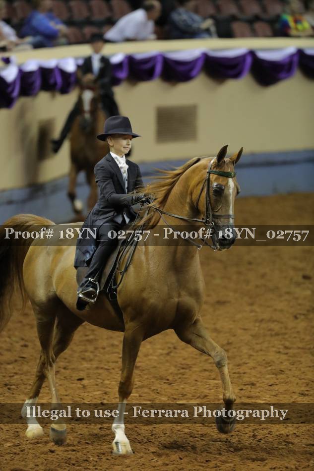 Proof 18YN_02757