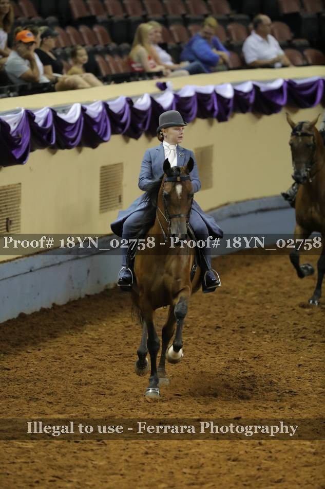 Proof 18YN_02758
