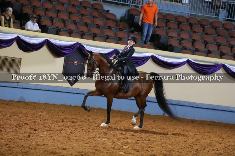 Proof 18YN_02760