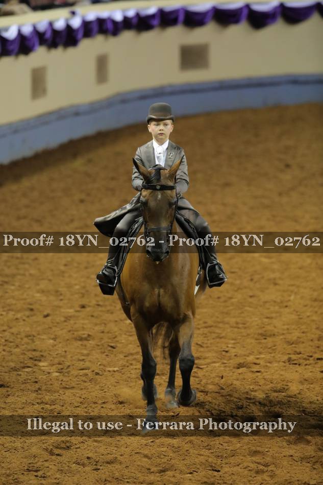 Proof 18YN_02762