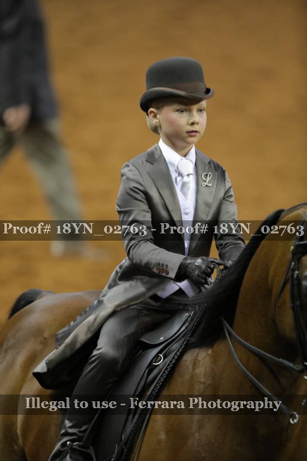 Proof 18YN_02763
