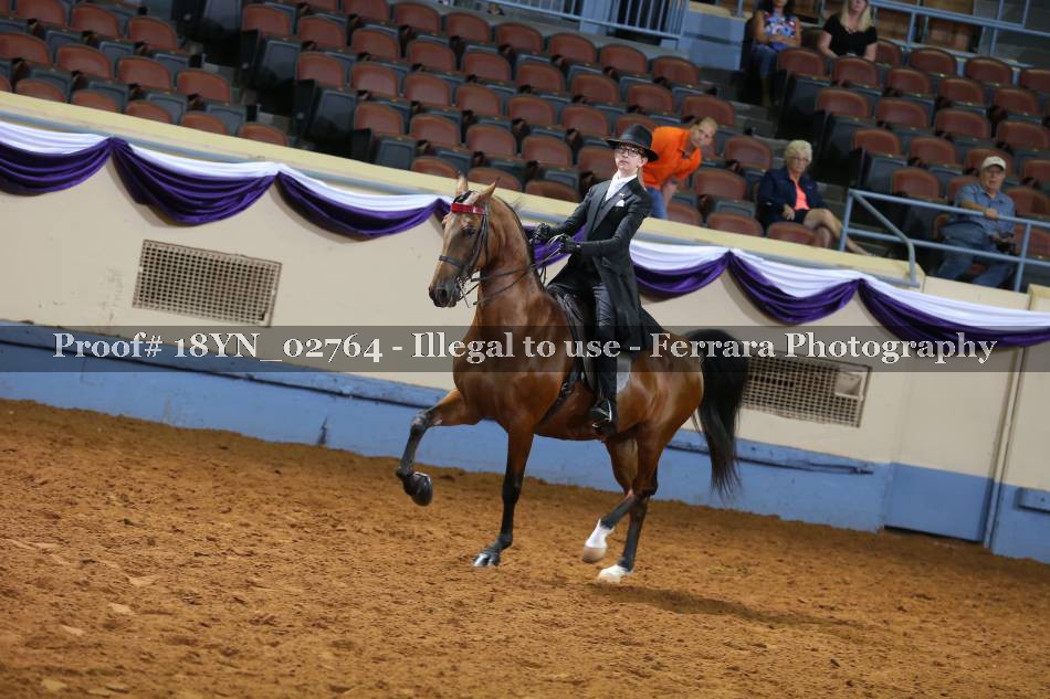 Proof 18YN_02764