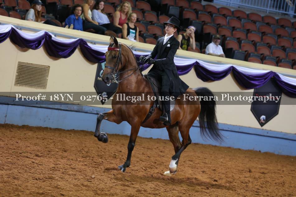 Proof 18YN_02765