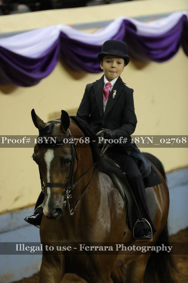 Proof 18YN_02768