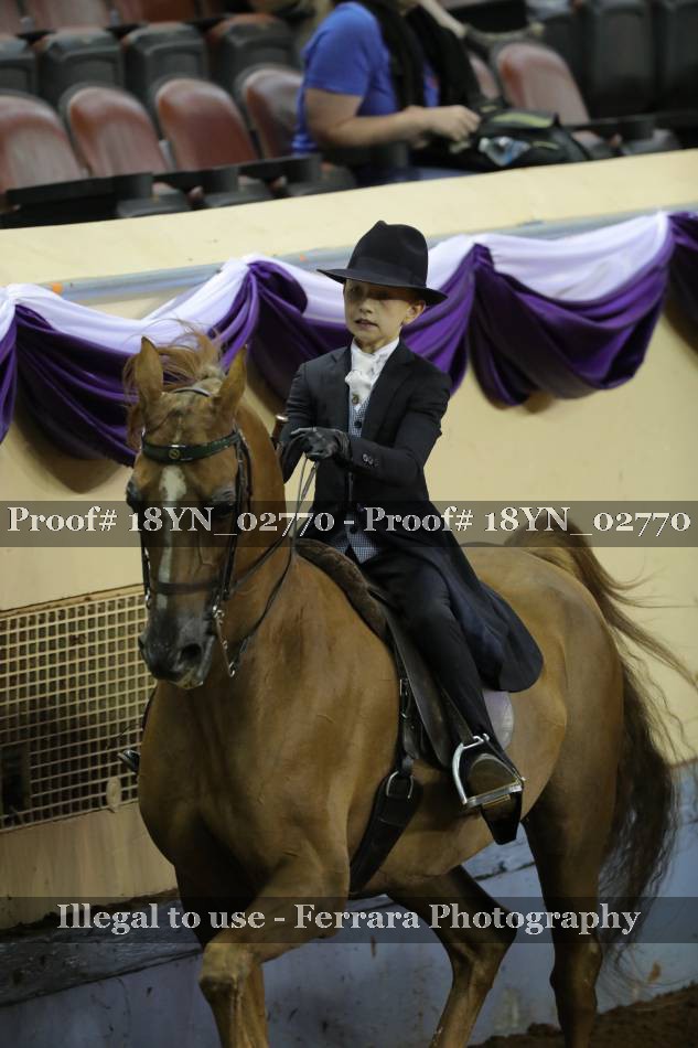 Proof 18YN_02770