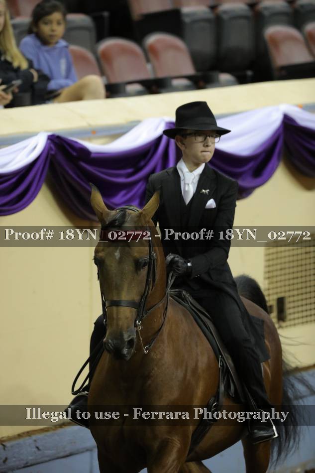 Proof 18YN_02772