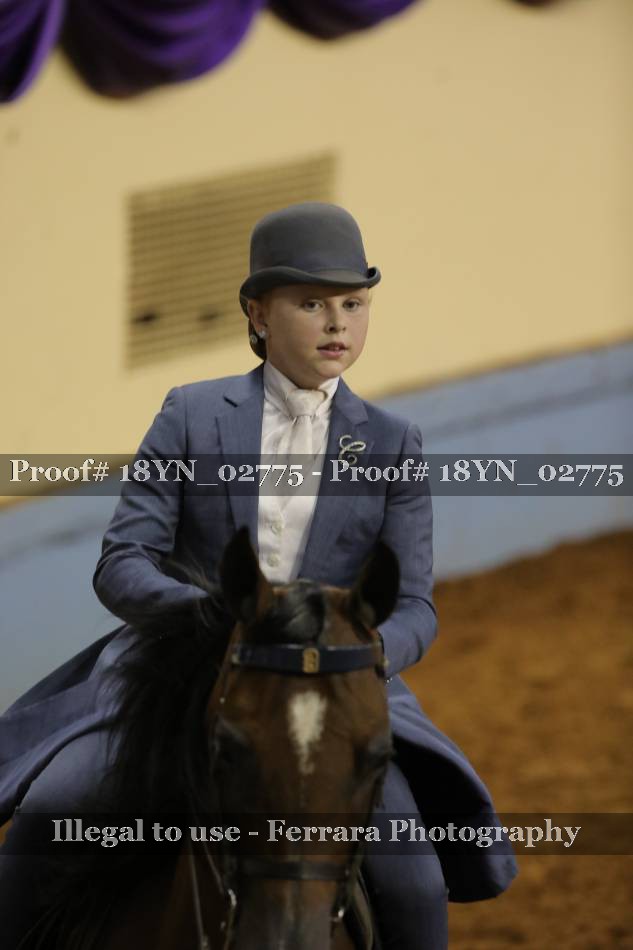 Proof 18YN_02775