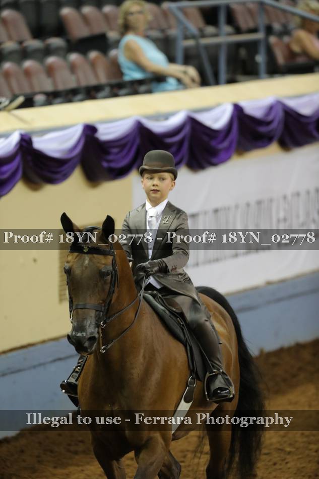 Proof 18YN_02778