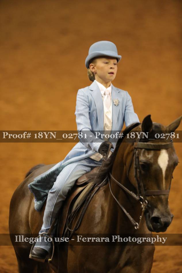 Proof 18YN_02781
