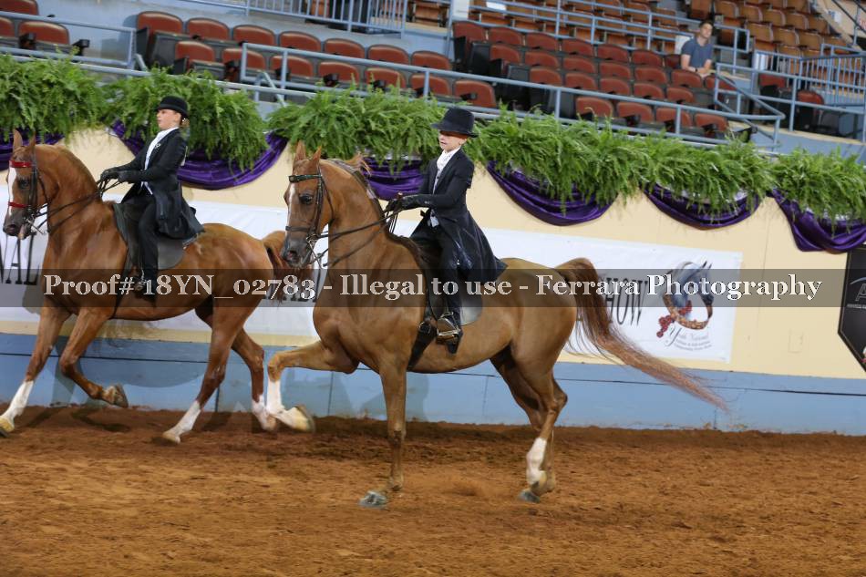 Proof 18YN_02783