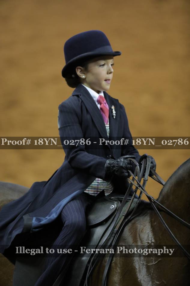 Proof 18YN_02786