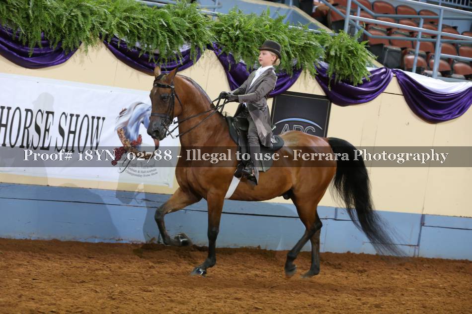 Proof 18YN_02788
