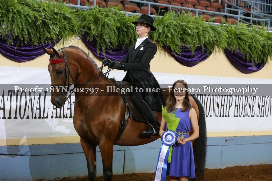 Proof 18YN_02797