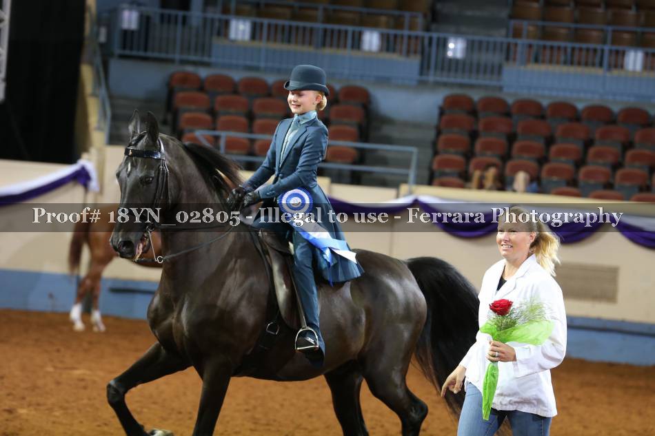 Proof 18YN_02805