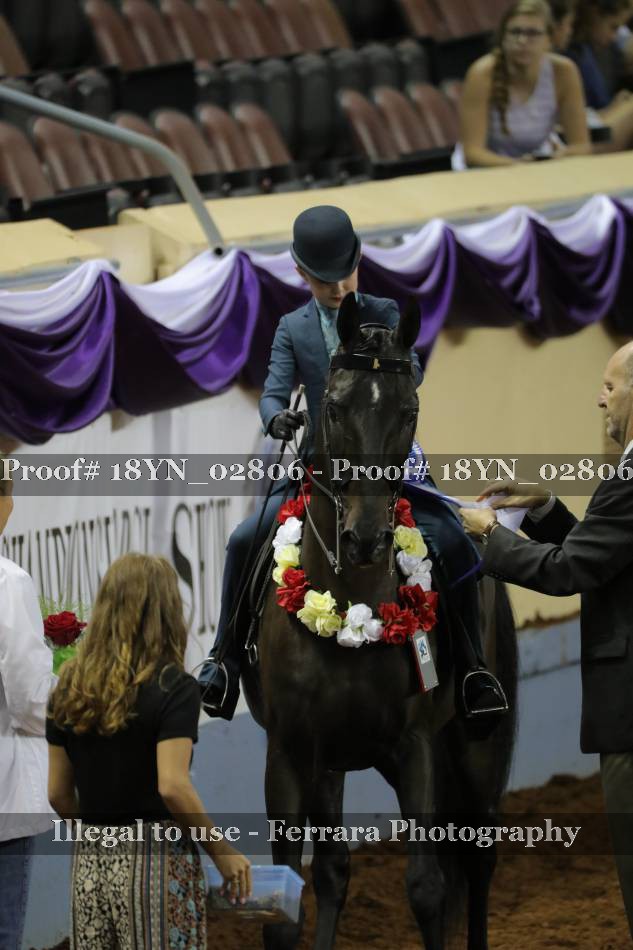 Proof 18YN_02806
