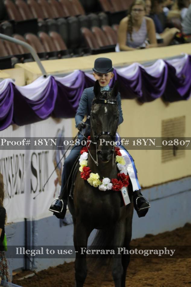 Proof 18YN_02807
