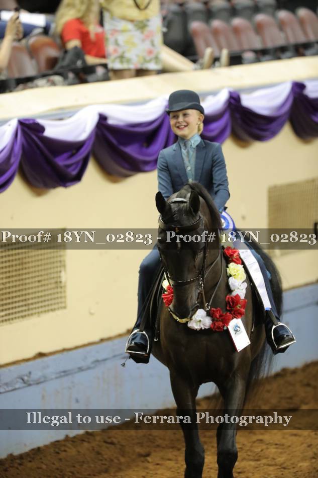 Proof 18YN_02823