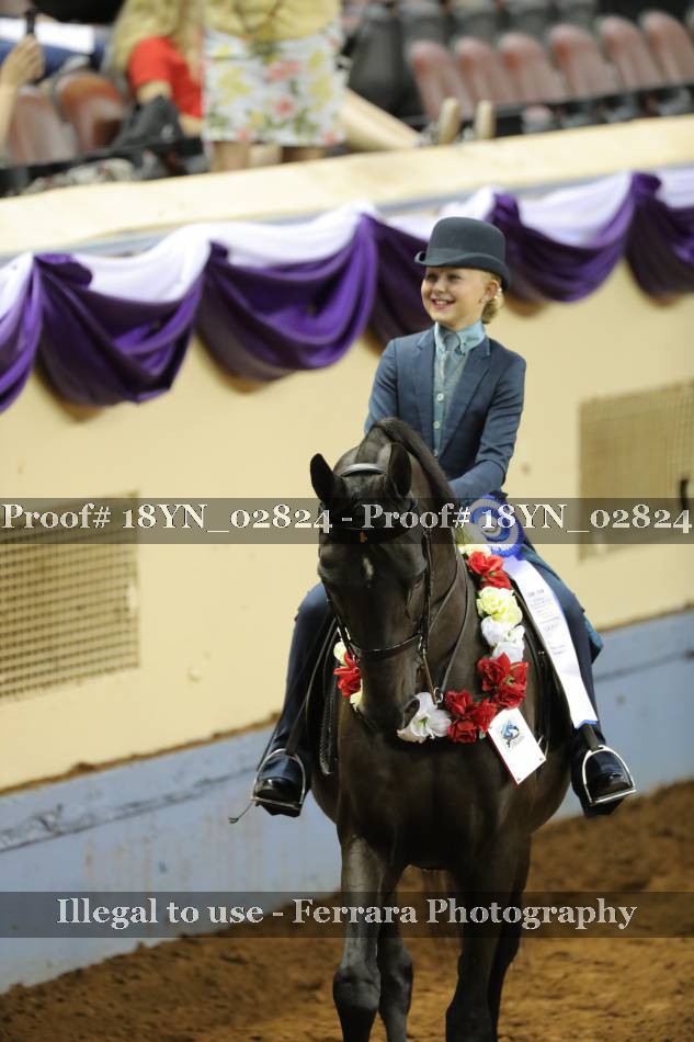 Proof 18YN_02824
