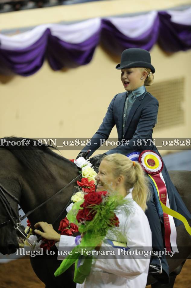Proof 18YN_02828
