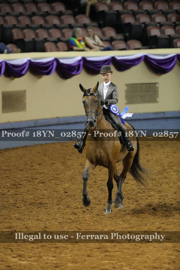 Proof 18YN_02857