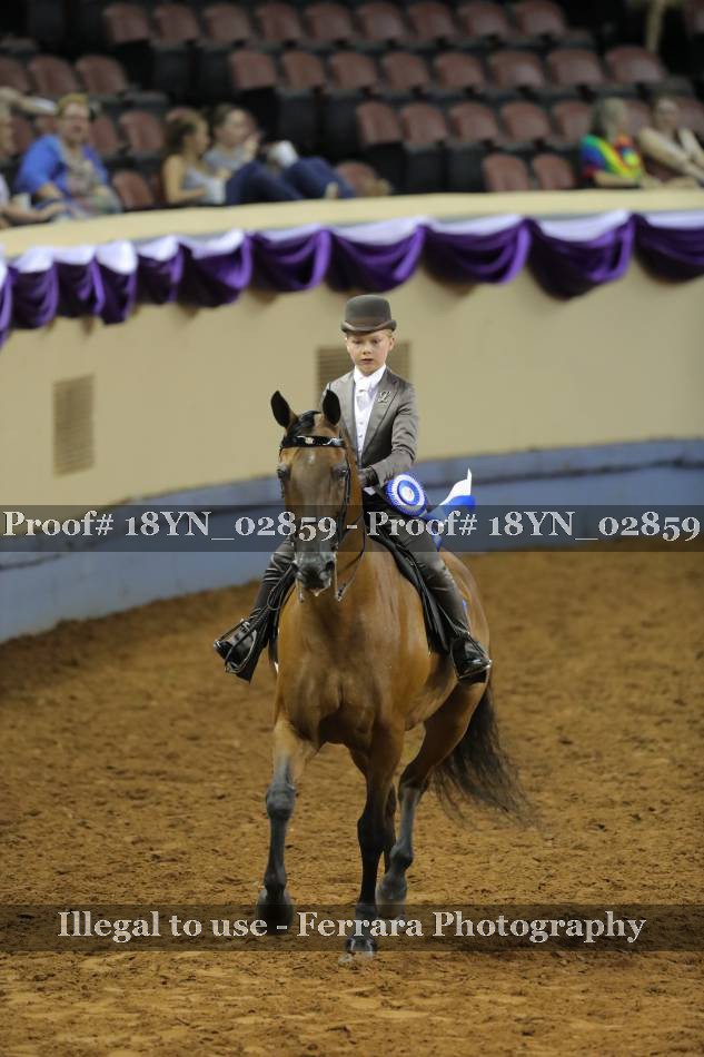 Proof 18YN_02859