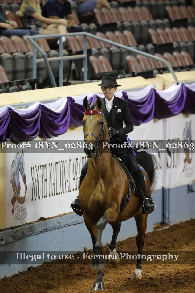 Proof 18YN_02863