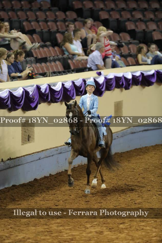 Proof 18YN_02868