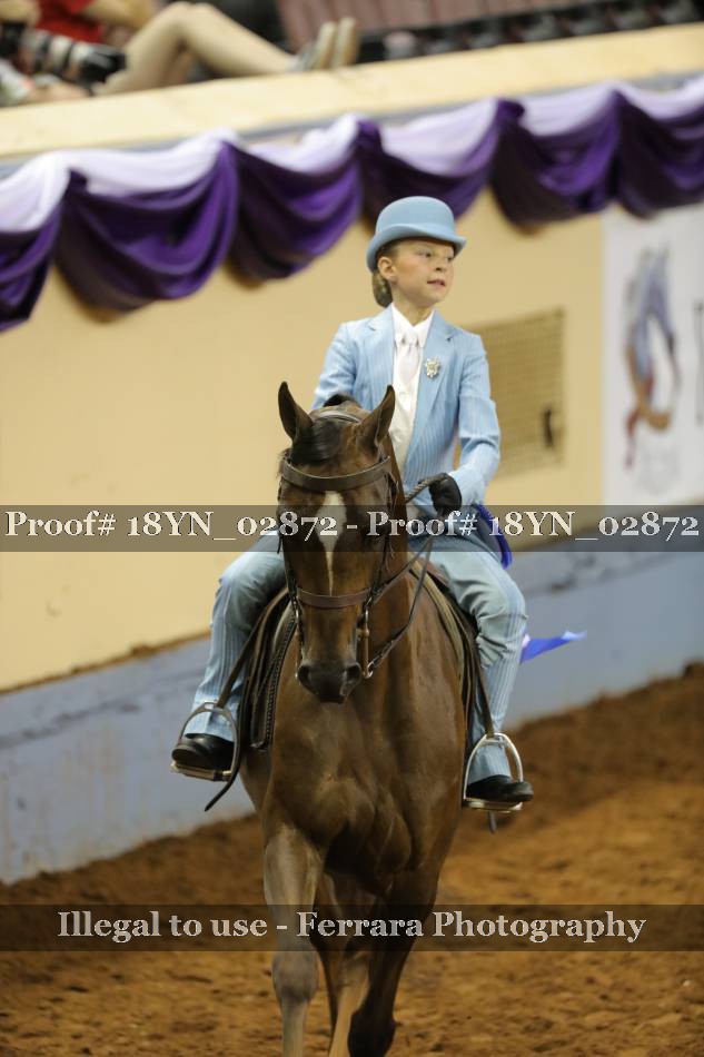 Proof 18YN_02872