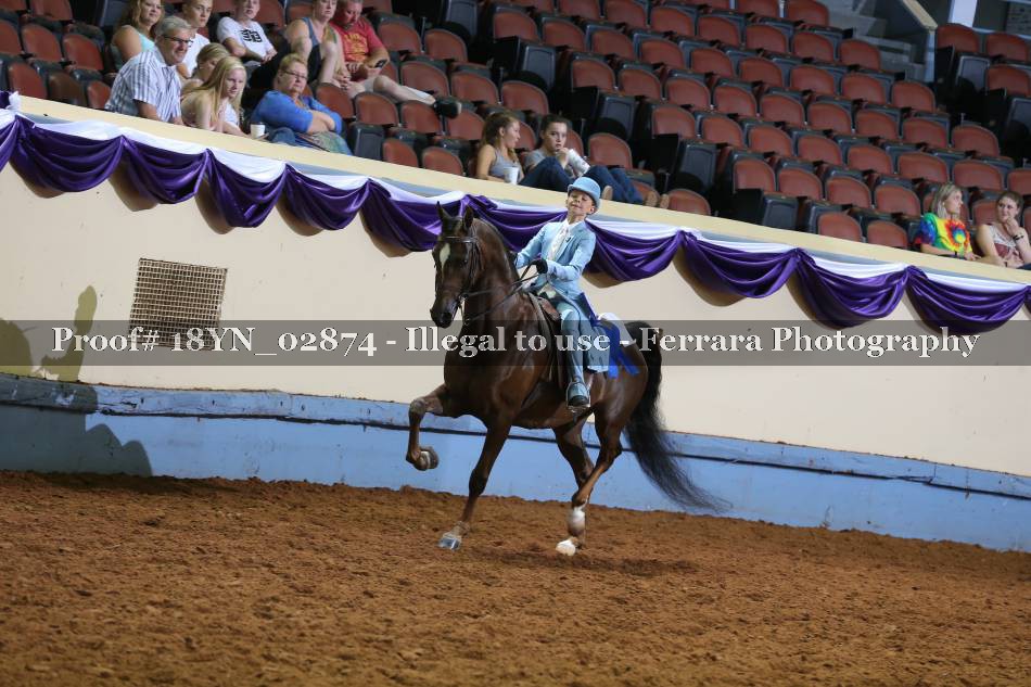 Proof 18YN_02874